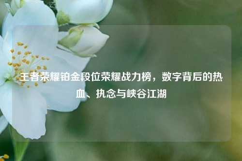 王者荣耀铂金段位荣耀战力榜，数字背后的热血、执念与峡谷江湖