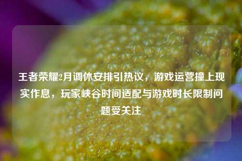王者荣耀2月调休安排引热议，游戏运营撞上现实作息，玩家峡谷时间适配与游戏时长限制问题受关注