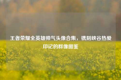 王者荣耀全英雄帅气头像合集，镌刻峡谷热爱印记的群像图鉴
