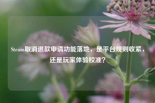 Steam取消退款申请功能落地，是平台规则收紧，还是玩家体验校准？