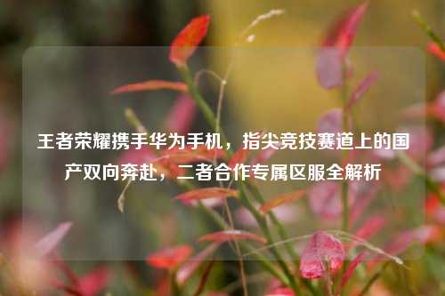 王者荣耀携手华为手机，指尖竞技赛道上的国产双向奔赴，二者合作专属区服全解析