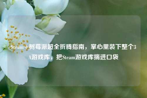 Steam+树莓派超全折腾指南，掌心里装下整个3A游戏库，把Steam游戏库揣进口袋