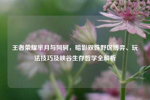 王者荣耀芈月与阿轲，暗影双姝野区博弈、玩法技巧及峡谷生存哲学全解析