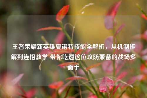 王者荣耀新英雄夏诺特技能全解析，从机制拆解到连招教学 带你吃透这位攻防兼备的战场多面手