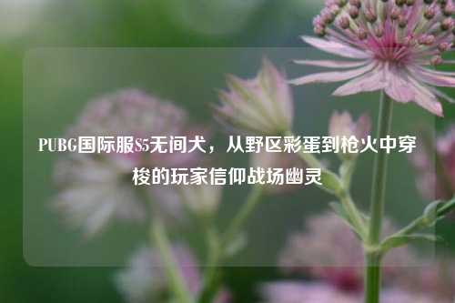 PUBG国际服S5无间犬,从野区彩蛋到枪火中穿梭的玩家信仰战场幽灵