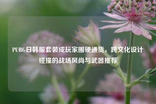 PUBG日韩服套装成玩家圈硬通货,跨文化设计碰撞的战场风尚与武器推荐