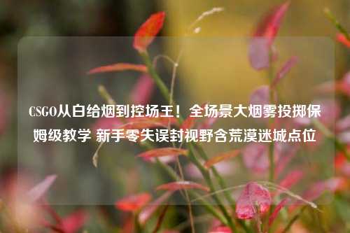 CSGO从白给烟到控场王！全场景大烟雾投掷保姆级教学 新手零失误封视野含荒漠迷城点位