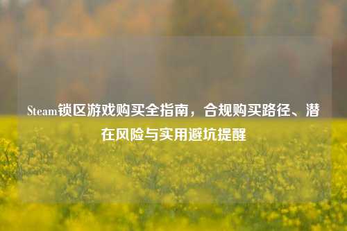 Steam锁区游戏购买全指南,合规购买路径、潜在风险与实用避坑提醒