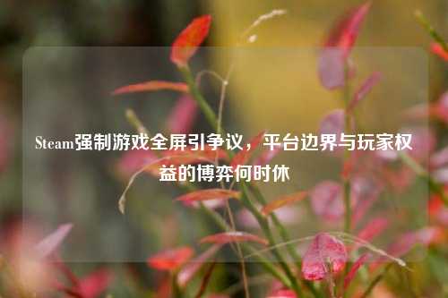 Steam强制游戏全屏引争议，平台边界与玩家权益的博弈何时休