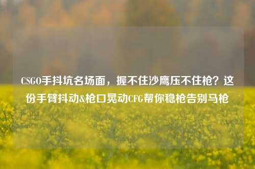 CSGO手抖坑名场面,握不住沙鹰压不住枪?这份手臂抖动&枪口晃动CFG帮你稳枪告别马枪