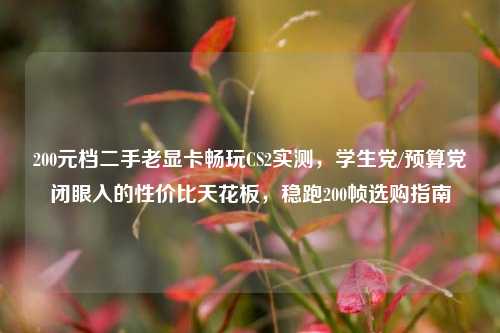 200元档二手老显卡畅玩CS2实测,学生党/预算党闭眼入的性价比天花板,稳跑200帧选购指南