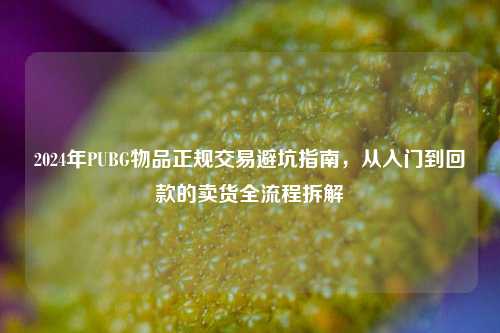 2024年PUBG物品正规交易避坑指南,从入门到回款的卖货全流程拆解