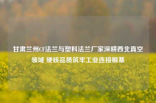 甘肃兰州CF法兰与塑料法兰厂家深耕西北真空领域 硬核品质筑牢工业连接根基