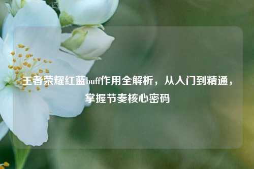 王者荣耀红蓝buff作用全解析，从入门到精通，掌握节奏核心密码