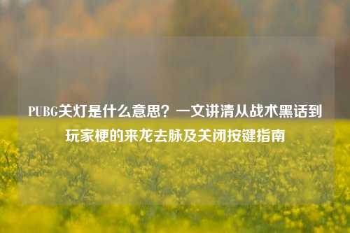 PUBG关灯是什么意思?一文讲清从战术黑话到玩家梗的来龙去脉及关闭按键指南