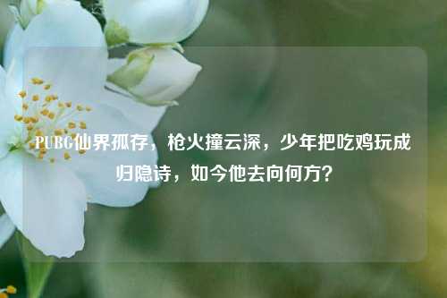 PUBG仙界孤存,枪火撞云深,少年把吃鸡玩成归隐诗,如今他去向何方?