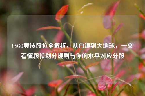 CSGO竞技段位全解析,从白银到大地球,一文看懂段位划分规则与你的水平对应分段