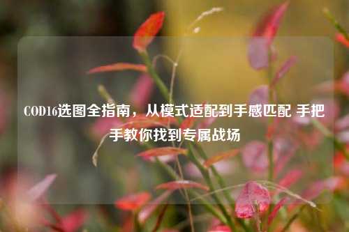 COD16选图全指南，从模式适配到手感匹配 手把手教你找到专属战场