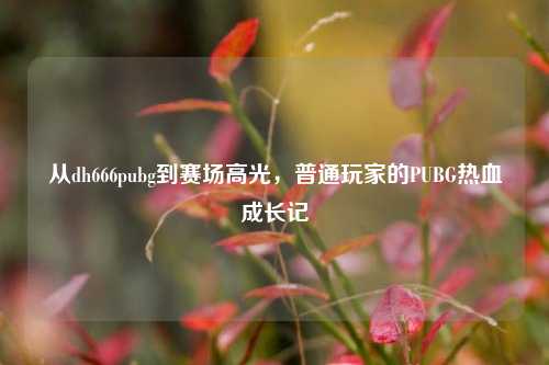 从dh666pubg到赛场高光，普通玩家的PUBG热血成长记
