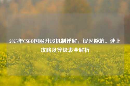2025年CSGO国服升段机制详解，误区避坑、速上攻略及等级表全解析