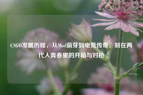 CSGO发展历程，从Mod萌芽到电竞传奇，刻在两代人青春里的开箱与对枪