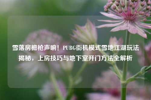 雪落房檐枪声响!PUBG街机模式雪地江湖玩法揭秘,上房技巧与地下室开门方法全解析