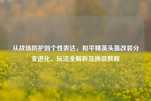 从战场防护到个性表达,和平精英头盔改装分支进化、玩法全解析及换装教程