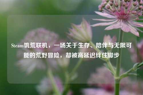 Steam饥荒联机，一场关于生存、陪伴与无限可能的荒野冒险，却被高延迟绊住脚步