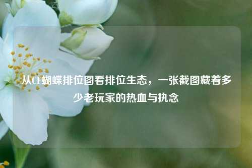 从CF蝴蝶排位图看排位生态,一张截图藏着多少老玩家的热血与执念