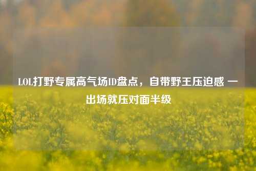 LOL打野专属高气场ID盘点，自带野王压迫感 一出场就压对面半级