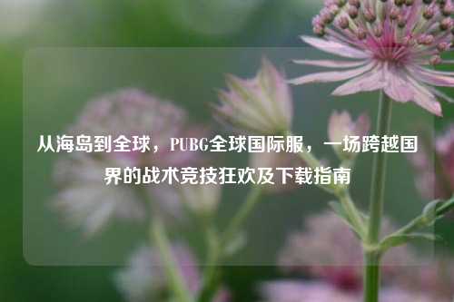 从海岛到全球，PUBG全球国际服，一场跨越国界的战术竞技狂欢及下载指南