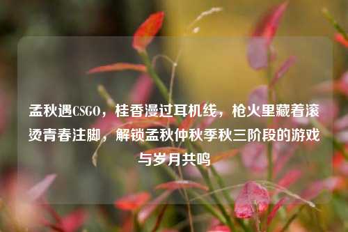 孟秋遇CSGO,桂香漫过耳机线,枪火里藏着滚烫青春注脚,解锁孟秋仲秋季秋三阶段的游戏与岁月共鸣