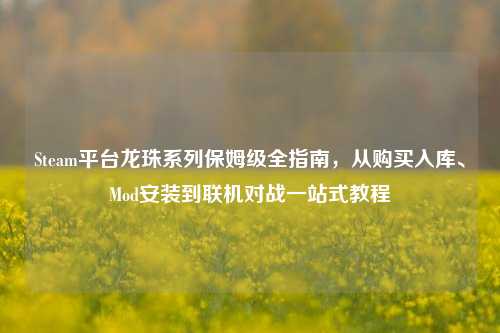 Steam平台龙珠系列保姆级全指南，从购买入库、Mod安装到联机对战一站式教程