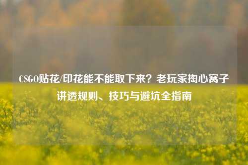 CSGO贴花/印花能不能取下来？老玩家掏心窝子讲透规则、技巧与避坑全指南