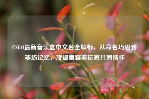 CSGO最新音乐盒中文名全解析,从命名巧思到赛场记忆,旋律里藏着玩家共同情怀