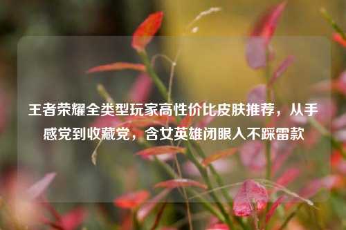 王者荣耀全类型玩家高性价比皮肤推荐，从手感党到收藏党，含女英雄闭眼入不踩雷款
