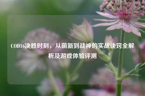 COD16决胜时刻，从萌新到战神的实战诀窍全解析及游戏体验评测