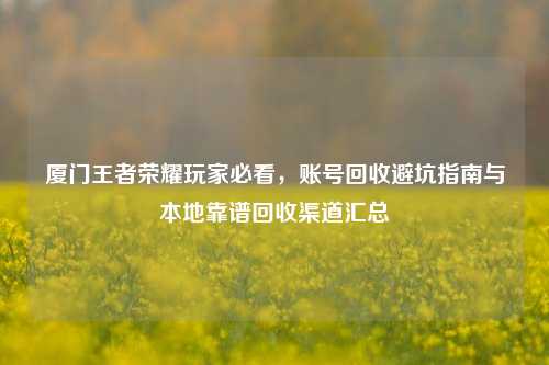 厦门王者荣耀玩家必看,账号回收避坑指南与本地靠谱回收渠道汇总