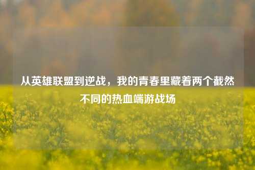 从英雄联盟到逆战,我的青春里藏着两个截然不同的热血端游战场