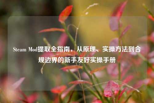 Steam Mod提取全指南，从原理、实操方法到合规边界的新手友好实操手册