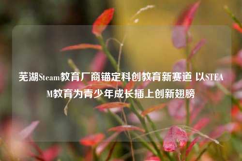 芜湖Steam教育厂商锚定科创教育新赛道 以STEAM教育为青少年成长插上创新翅膀