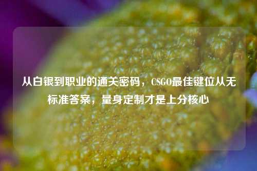 从白银到职业的通关密码，CSGO最佳键位从无标准答案，量身定制才是上分核心