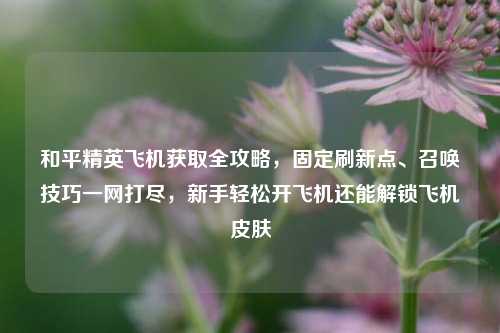 和平精英飞机获取全攻略，固定刷新点、召唤技巧一网打尽，新手轻松开飞机还能解锁飞机皮肤