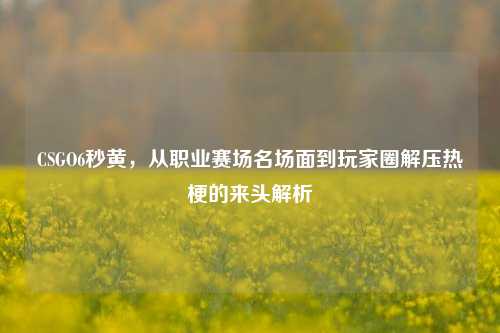 CSGO6秒黄，从职业赛场名场面到玩家圈解压热梗的来头解析