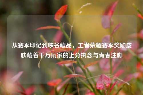 从赛季印记到峡谷藏品,王者荣耀赛季奖励皮肤藏着千万玩家的上分执念与青春注脚