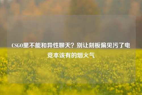 CSGO里不能和异性聊天？别让刻板偏见污了电竞本该有的烟火气