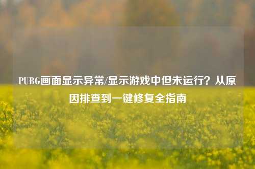 PUBG画面显示异常/显示游戏中但未运行？从原因排查到一键修复全指南