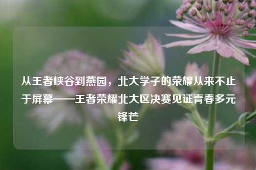 从王者峡谷到燕园，北大学子的荣耀从来不止于屏幕——王者荣耀北大区决赛见证青春多元锋芒
