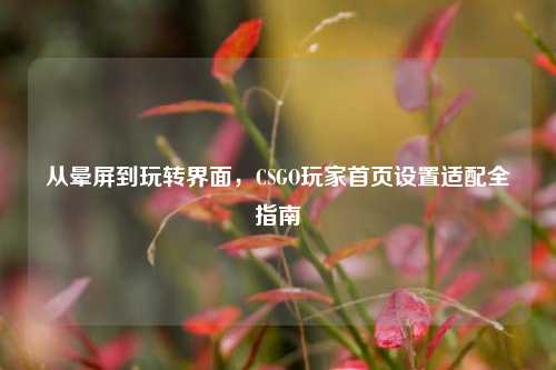 从晕屏到玩转界面,CSGO玩家首页设置适配全指南