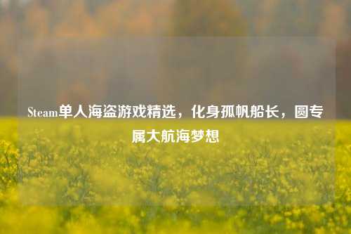 Steam单人海盗游戏精选，化身孤帆船长，圆专属大航海梦想